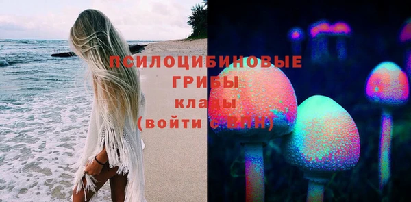 apvp Алексеевка